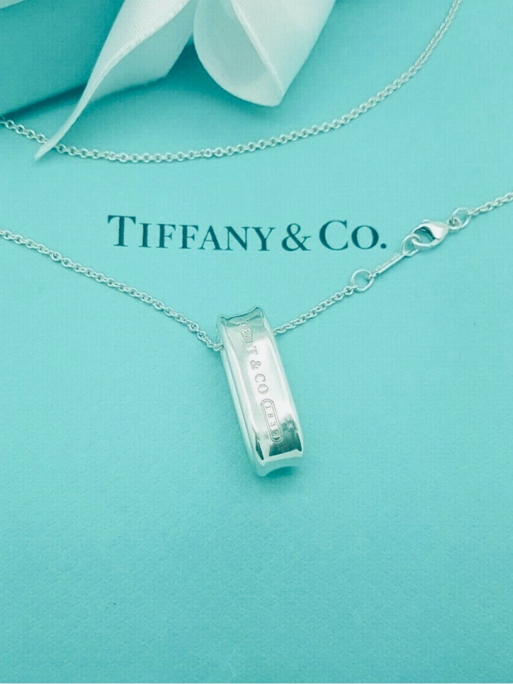 Rare Tiffany & Co. 1837 Oval Loop Pendant Necklace Sterling Silver Retired 18”